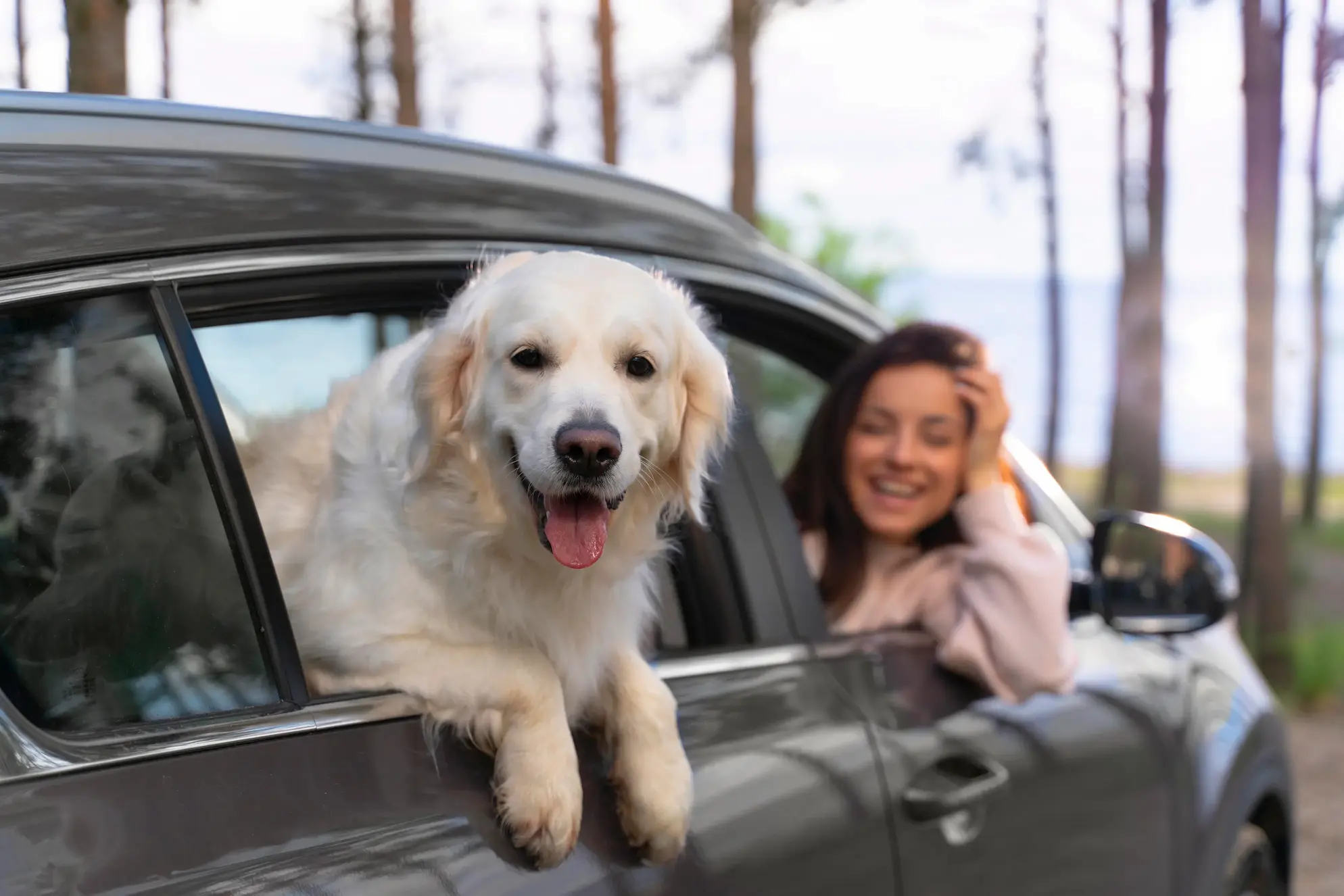 Pet Friendly Taxi